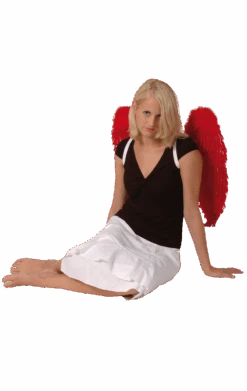 Boland Red Angel Wings 65x65cm