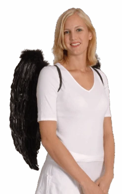 Boland Black Angel Wings 65x65cm
