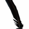 GENERIC Black Turkey Broad Feather