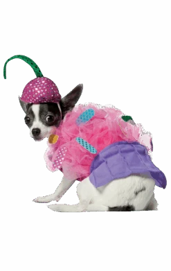 Cupcake Dog Costume