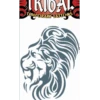 Tribal Lion Tattoo Transfer -Palmer Sales 00040609p