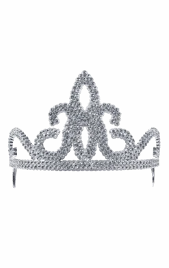 Silver Princess Tiara Accessory