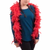 Red Feather Boa Accessory 2 Red Feather Boa Accessory -Palmer Sales 00040691p