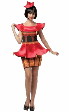 Ladies Asian Pagoda Dress Costume