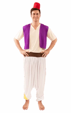 Mens Aladdin Costume