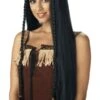 GENERIC Womens Sexy Native American Wig -Palmer Sales adult sexy indian princess wig 772868