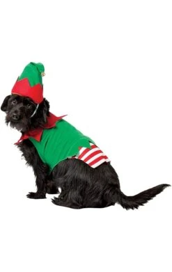 GENERIC Elf Dog Costume