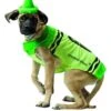 GENERIC Green Crayola Dog Costume -Palmer Sales green crayola dog costume 939219