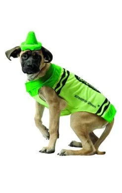 GENERIC Green Crayola Dog Costume