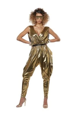 GENERIC Womens 70s Glitz & Glamour Costume -Palmer Sales womens 70s glitz glamour costume 262271