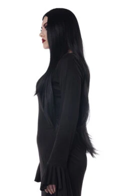 GENERIC Womens Black Extra Long Cosplay Wig -Palmer Sales womens black extra long cosplay wig 985448
