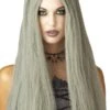 Palmer Womens Long Grey Halloween Wig -Palmer Sales womens long grey halloween wig 713148