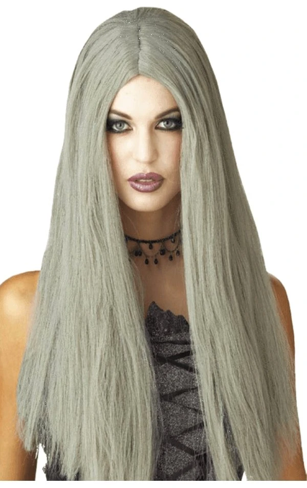 Palmer Womens Long Grey Halloween Wig 3 Palmer Womens Long Grey Halloween Wig